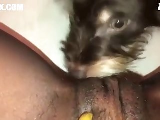Part 2 Puppy Eat Virgin Black Pussy  Converted New