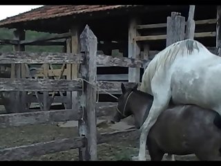 Lupe Vs Stallion Scene 03