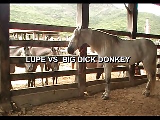 Lupe Vs Donkey Scene 05