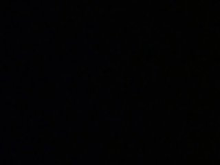 अगली सुबह जब मैं उठा तो डॉगी था