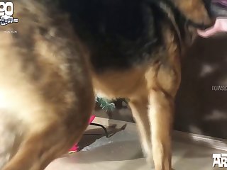 Infuriating Nips He Was Giving The Delicate White Tit