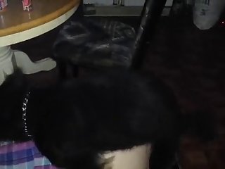 Good Doggy Fuck