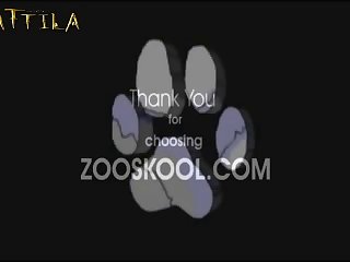 Animalssex