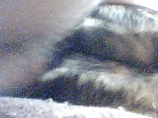 I Didn't Know What Joe Had Told Them