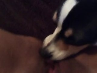 Frappant Cette Chatte Chaude Et Humide Pour La Première Fois