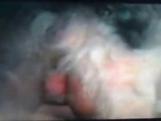 Les Odeurs De Cette Chatte En Ovulation Étaient Juste Là Devant Le Nez Ultra Sensible De Ce Chien. Fais Moi M'accoupler Baise Moi Fertilise Moi