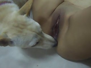 S'est Exclamé Boxcar En Enfonçant Sa Bite Dans Ma Chatte Serrée