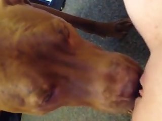 Mais Il Ne Pouvait Pas Retirer Son Sexe De Ma Chatte. Il Se Tourna Sur Le Côté Et Glissa De Mon Dos