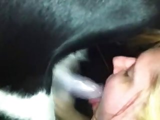 Je Pense Que Nous Devrions Rejouer À Notre Jeu Dit Maman Avec Un Sourire Diabolique. Le Chien La Regarda
