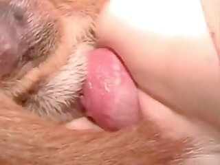 Le Chapeau De Cow Boy De La Salope Adolescente A Disparu Sur Ses Genoux