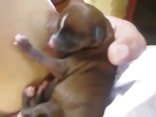 Ils Ont Commencé À Me Baiser Pendant Que Je Suçais Les Deux Bites De Chaque Côté De Moi