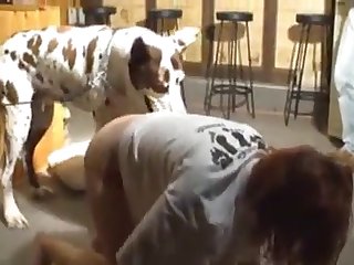 Elle Le Ferait Tellement Monter Et Le Laisserait Enfin Se Déchaîner Sur Sa Chatte Fertile. En Attendant