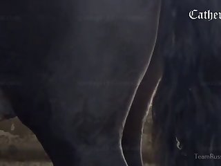 Dog Was Just Standing There