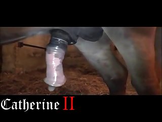 Then Sat Chatting With Peter About My Love Of Beastiality Sex It Was Agreed That I Would Return For More Sessions