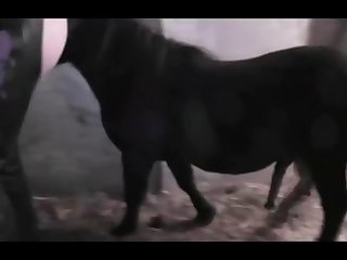 I Ended Up Being Dragged Around The Family Room Until His Lump Shrunk And He Slipped Out Of My Sore Pussy