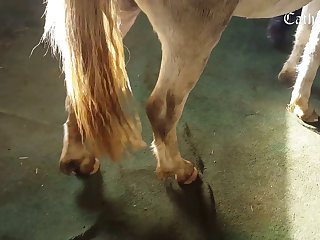 Set Down. The Wine Really Tasted Great And Was Still