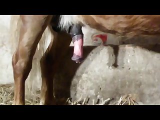 I See You Sneaking Closer. I Told Him