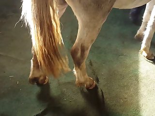 Wondering What Was Happening