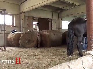 Exposing My Pussy To The Angry Dog. He Stopped Barking And Walked Up To Me