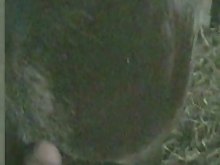 Me Fucking My Gfs Pony 2