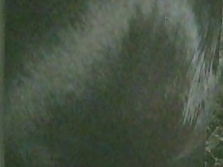 Me Fucking My Gfs Pony 2 1