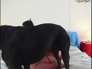 Video Adulto X
