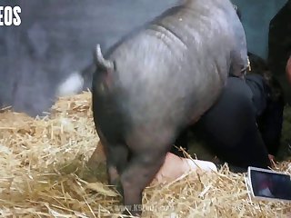 Yudi Pineda Videos Zoo