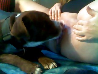 Bbw Gir Getting Licked