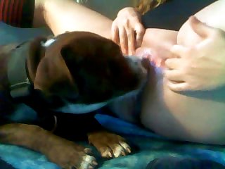 Bbw Gir Getting Licked