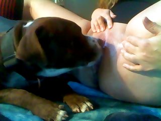 Bbw Gir Getting Licked