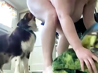 Bbw Girl Licked And Fucked By Dog