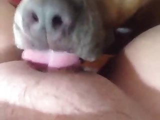 Bbw Mature Licked By Her Dog