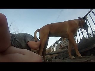 Fuck.wmv
