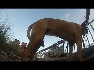Fuck.wmv