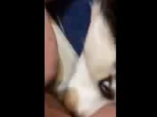 Lick 1