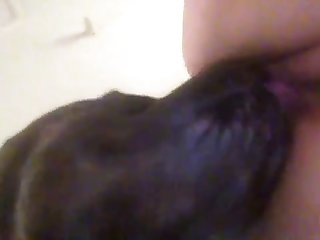 Bbw Lick And Pump