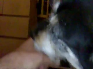 Oral1.wmv