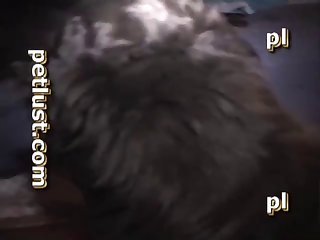 1 Guy 2 Dogs 3 Dicks Pc141 xxxxx
