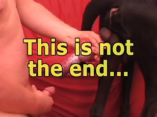 Big Black Dane Knot P120 Petlust