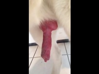 Video 4.mov