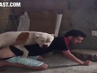 Dog Fuck Arab