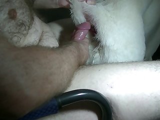 Pups In Heat Part 2 Hq