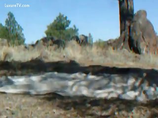 Gay Dog