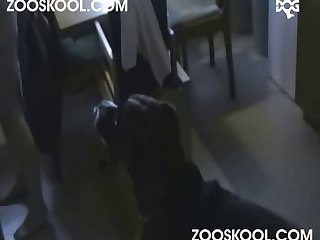 Guys Fuck Animal Porn
