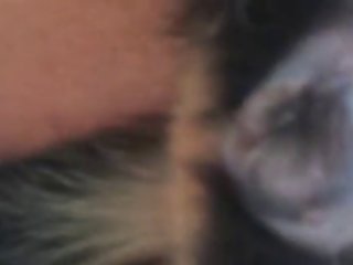 High Quality Animal Porn