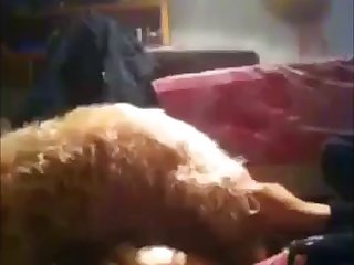 Female Animal Animated Porn
