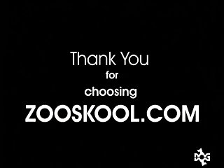 Zoo Sex Twiter