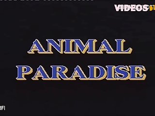 Zoofilia Anal Xxx