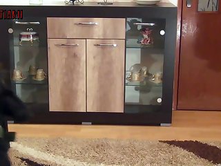 Porn Zoo Sex