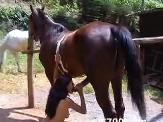 Videos Mexicanos De Zoofilia
